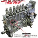 SEP7100-SV1 P7100 Injection Pump