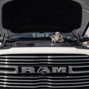 IIJ-23S401 CP3 Conversion