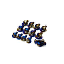 JDC-TI-EVOX-THK + WMH-CAH titanium hardware